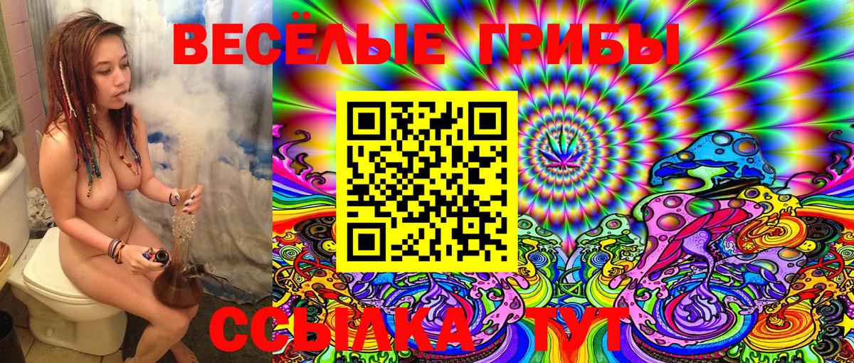 Псилоцибиновые грибы мицелий Северодвинск